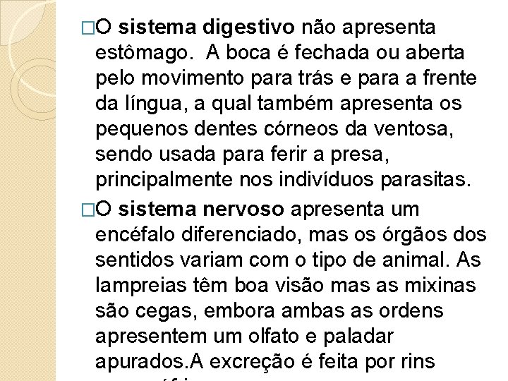 �O sistema digestivo não apresenta estômago. A boca é fechada ou aberta pelo movimento