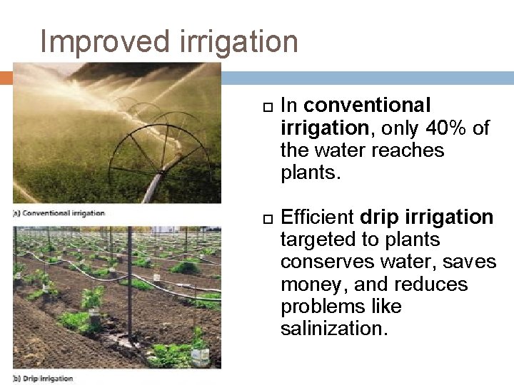Improved irrigation In conventional irrigation, only 40% of the water reaches plants. Efficient drip