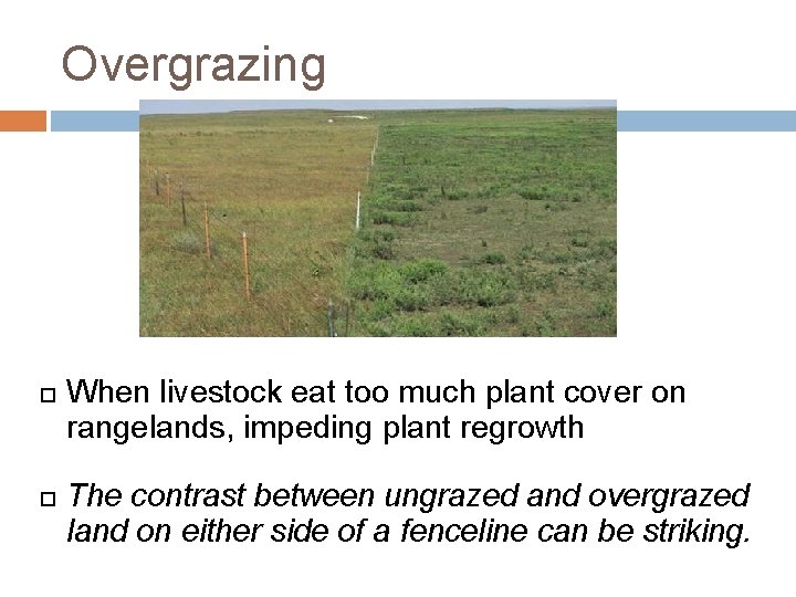 Overgrazing When livestock eat too much plant cover on rangelands, impeding plant regrowth The