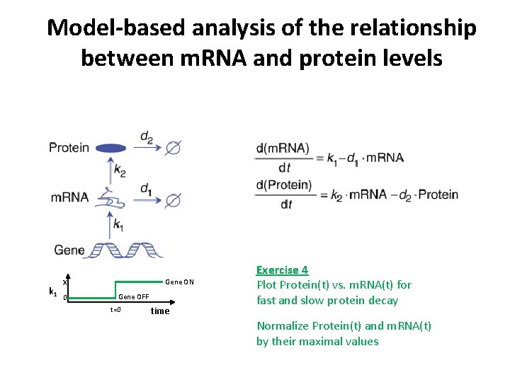 Model-based analysis of the relationship between m. RNA and protein levels k 1 Gene