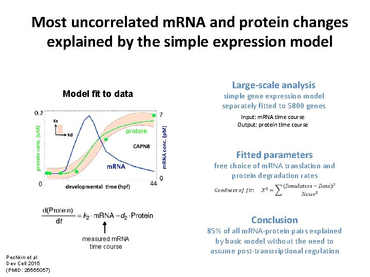 Most uncorrelated m. RNA and protein changes explained by the simple expression model Large-scale