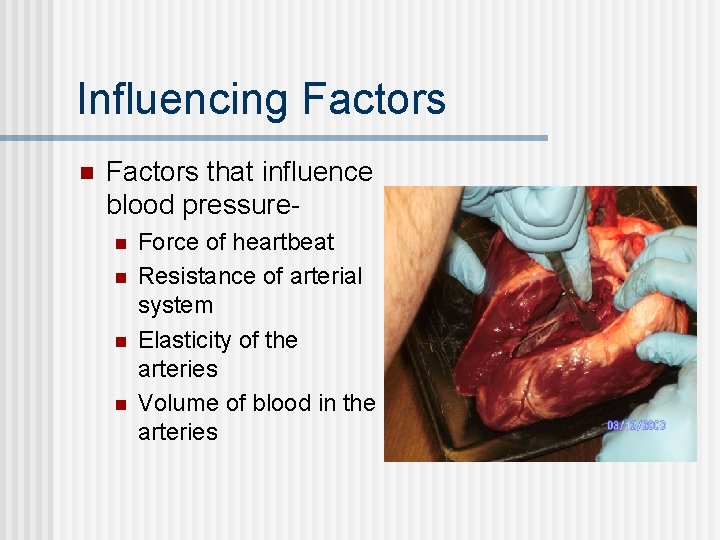Influencing Factors n Factors that influence blood pressuren n Force of heartbeat Resistance of Influencing Factors n Factors that influence blood pressuren n Force of heartbeat Resistance of