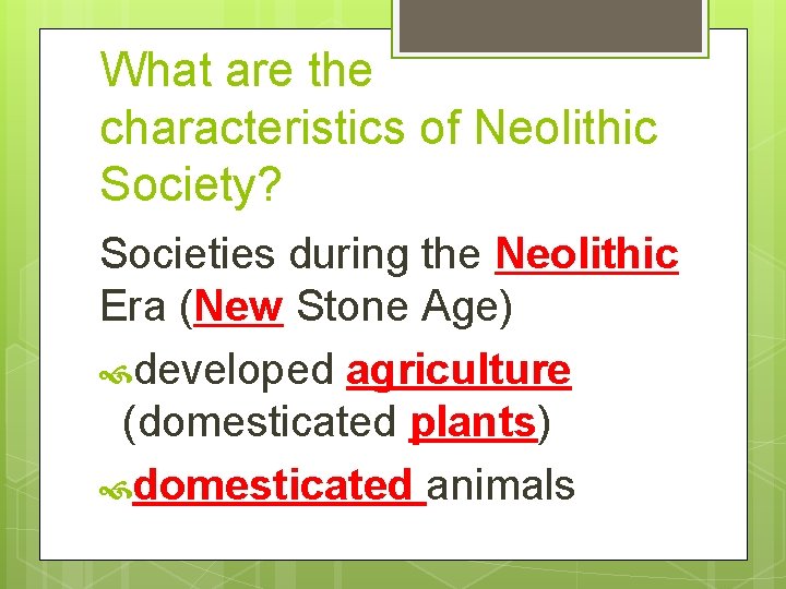 What are the characteristics of Neolithic Society? Societies during the Neolithic Era (New Stone