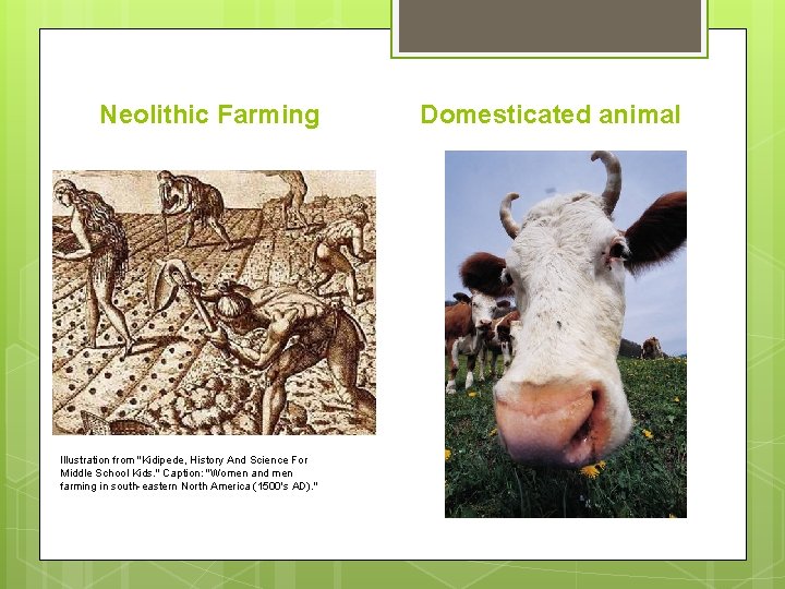 Neolithic Farming Illustration from "Kidipede, History And Science For Middle School Kids. " Caption: