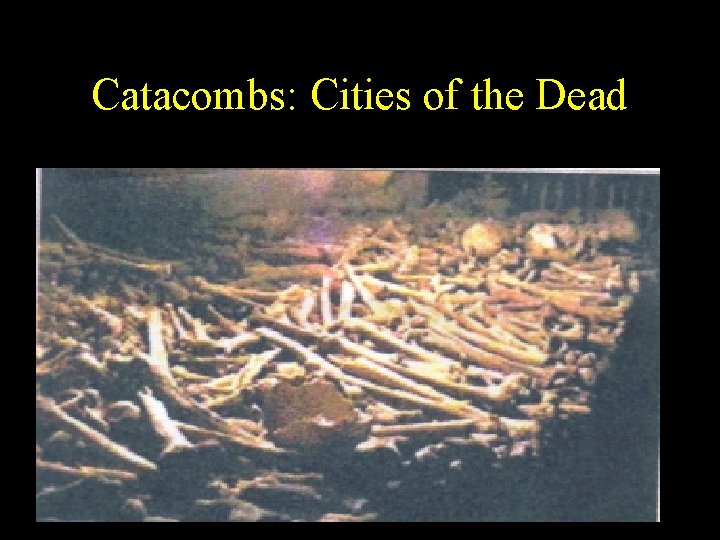 Catacombs: Cities of the Dead 
