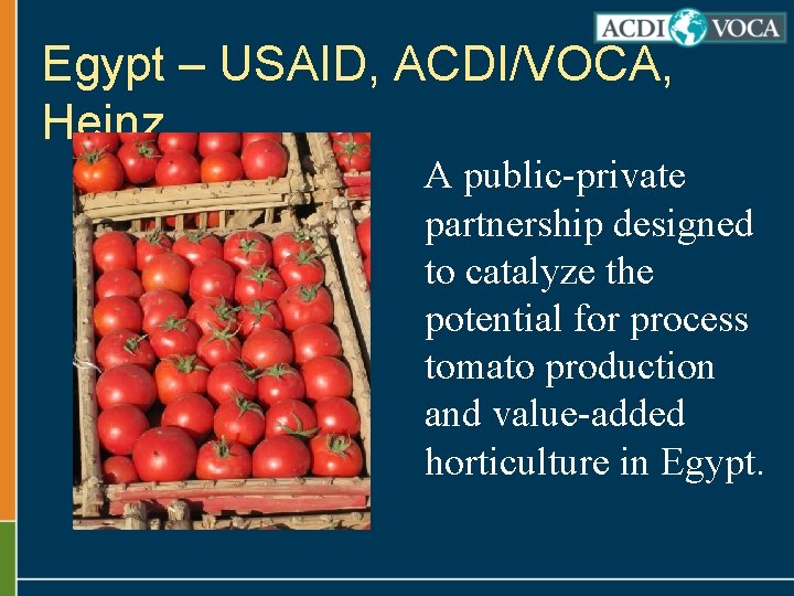 Egypt – USAID, ACDI/VOCA, Heinz A public-private partnership designed to catalyze the potential for