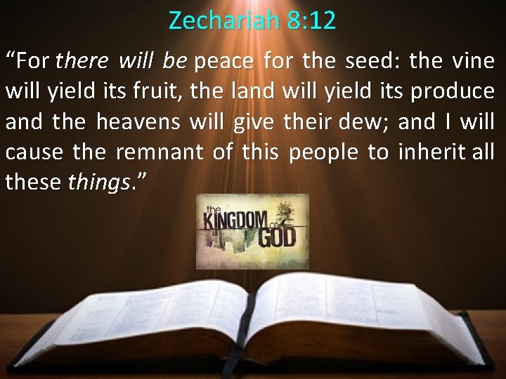 Zechariah 8: 12 “For there will be peace for the seed: the vine will