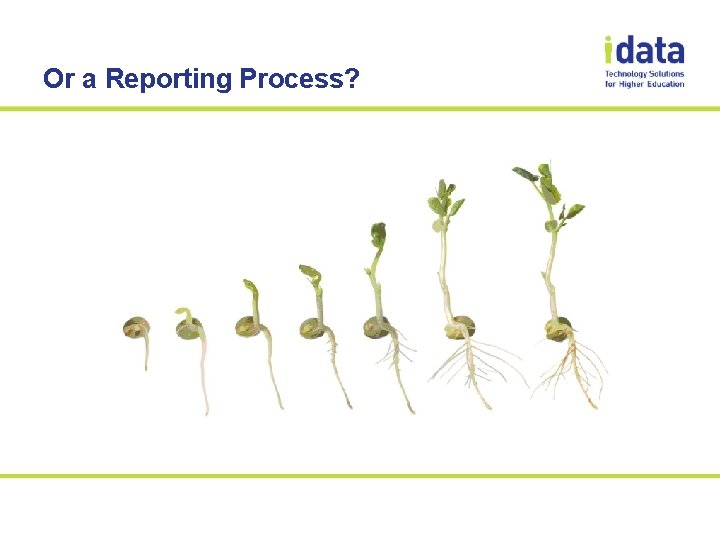 Or a Reporting Process? 