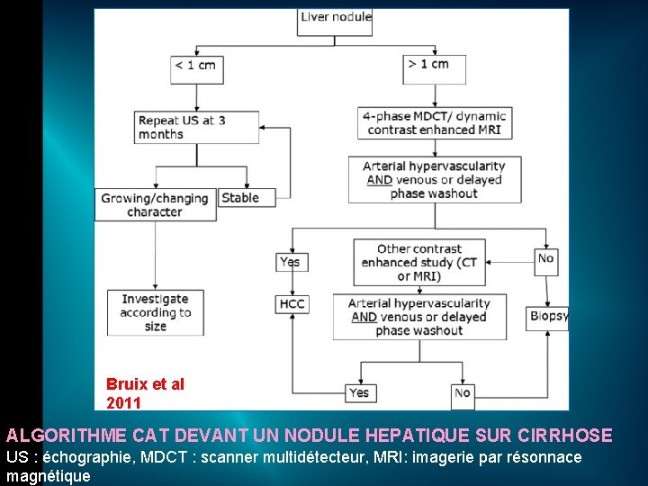 Bruix et al 2011 ALGORITHME CAT DEVANT UN NODULE HEPATIQUE SUR CIRRHOSE US :