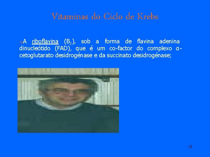 Vitaminas do Ciclo de Krebs øA riboflavina (B 2), sob a forma de flavina