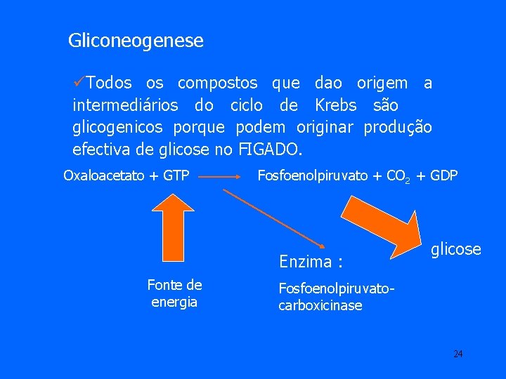 Gliconeogenese üTodos os compostos que dao origem a intermediários do ciclo de Krebs são