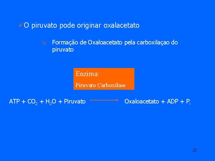 üO piruvato pode originar oxalacetato ø Formação de Oxaloacetato pela carboxilaçao do piruvato Enzima: