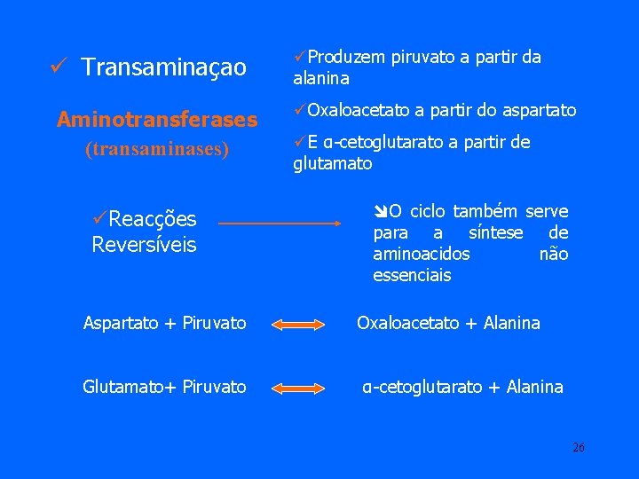 ü Transaminaçao Aminotransferases (transaminases) üReacções Reversíveis üProduzem piruvato a partir da alanina üOxaloacetato a