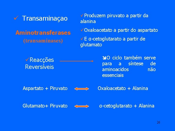 ü Transaminaçao Aminotransferases (transaminases) üReacções Reversíveis üProduzem piruvato a partir da alanina üOxaloacetato a ü Transaminaçao Aminotransferases (transaminases) üReacções Reversíveis üProduzem piruvato a partir da alanina üOxaloacetato a