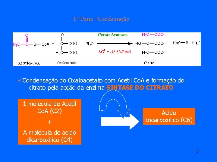 1º Passo -Condensação üCondensação do Oxaloacetato com Acetil Co. A e formação do citrato 1º Passo -Condensação üCondensação do Oxaloacetato com Acetil Co. A e formação do citrato