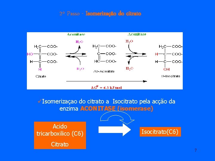 2º Passo - Isomerização do citrato üIsomerizaçao do citrato a Isocitrato pela acção da