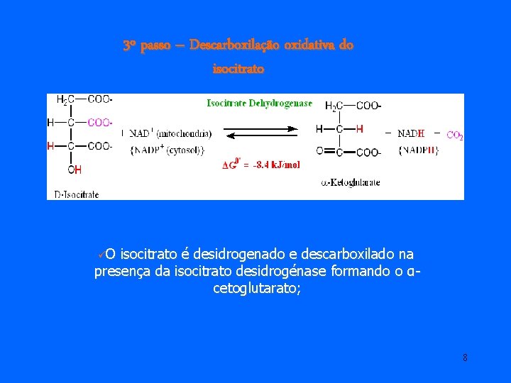 3º passo – Descarboxilação oxidativa do isocitrato üO isocitrato é desidrogenado e descarboxilado na 3º passo – Descarboxilação oxidativa do isocitrato üO isocitrato é desidrogenado e descarboxilado na