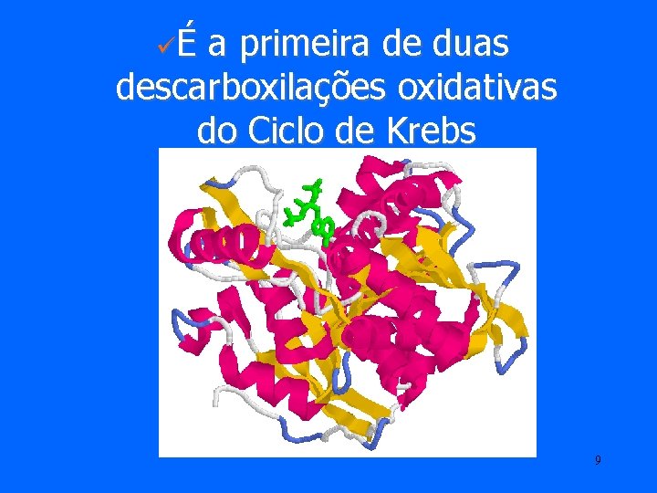 üÉ a primeira de duas descarboxilações oxidativas do Ciclo de Krebs 9 