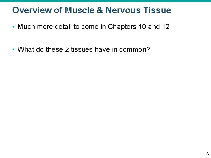 Overview of Muscle & Nervous Tissue • Much more detail to come in Chapters