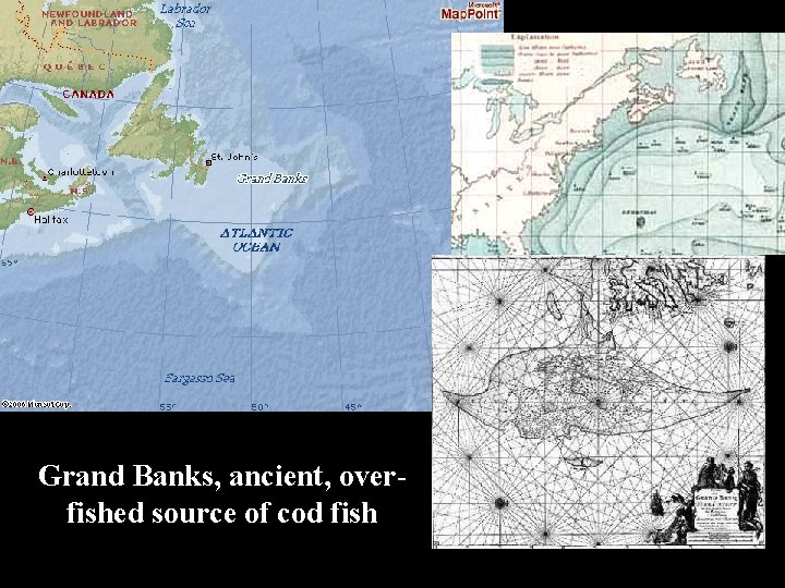 Grand Banks, ancient, overfished source of cod fish 