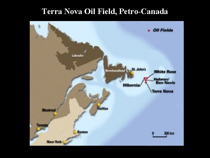 Terra Nova Oil Field, Petro-Canada 