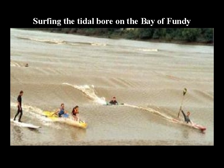 Surfing the tidal bore on the Bay of Fundy 