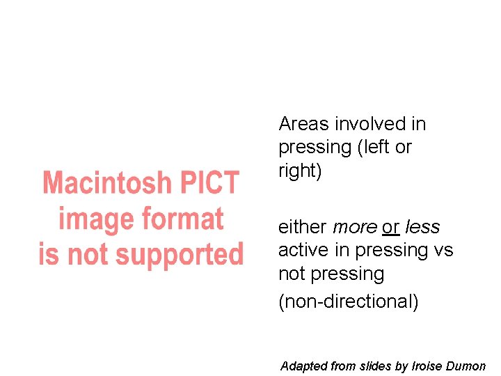 Areas involved in pressing (left or right) either more or less active in pressing