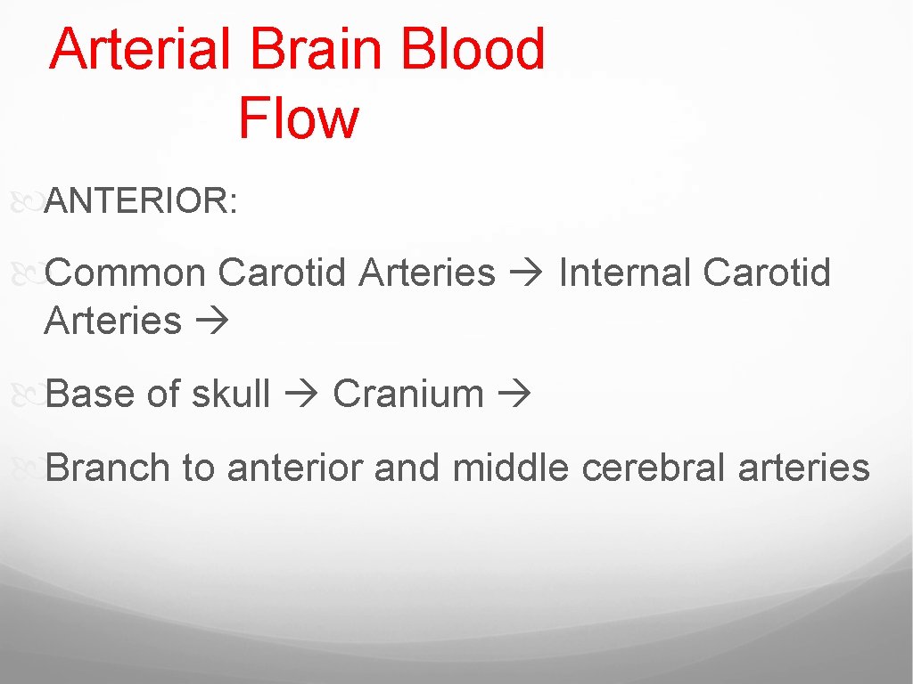 Arterial Brain Blood Flow ANTERIOR: Common Carotid Arteries Internal Carotid Arteries Base of skull