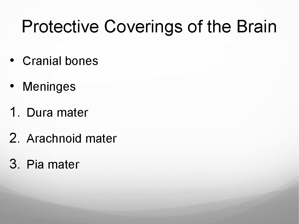 Protective Coverings of the Brain • Cranial bones • Meninges 1. Dura mater 2.