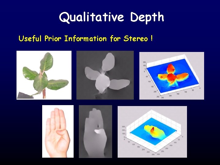 Qualitative Depth Useful Prior Information for Stereo ! 