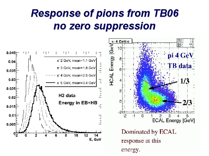 Response of pions from TB 06 no zero suppression 
