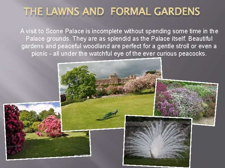 THE LAWNS AND FORMAL GARDENS A visit to Scone Palace is incomplete without spending