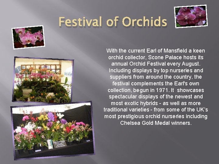 Festival of Orchids With the current Earl of Mansfield a keen orchid collector, Scone
