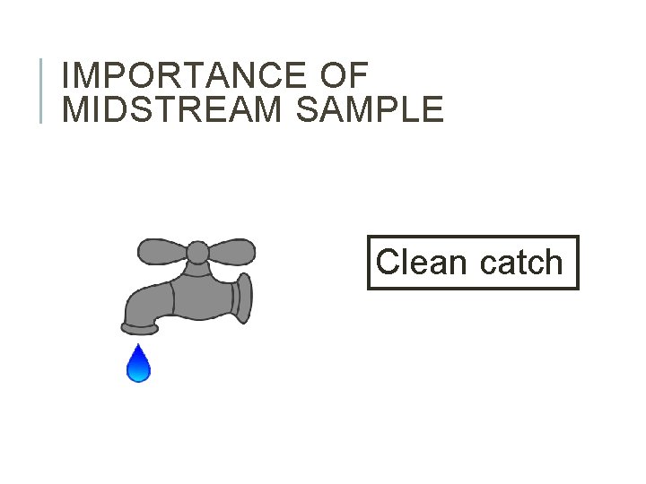 IMPORTANCE OF MIDSTREAM SAMPLE Clean catch 