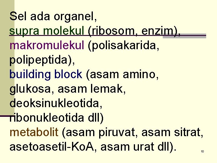 Sel ada organel, supra molekul (ribosom, enzim), makromulekul (polisakarida, polipeptida), building block (asam amino,