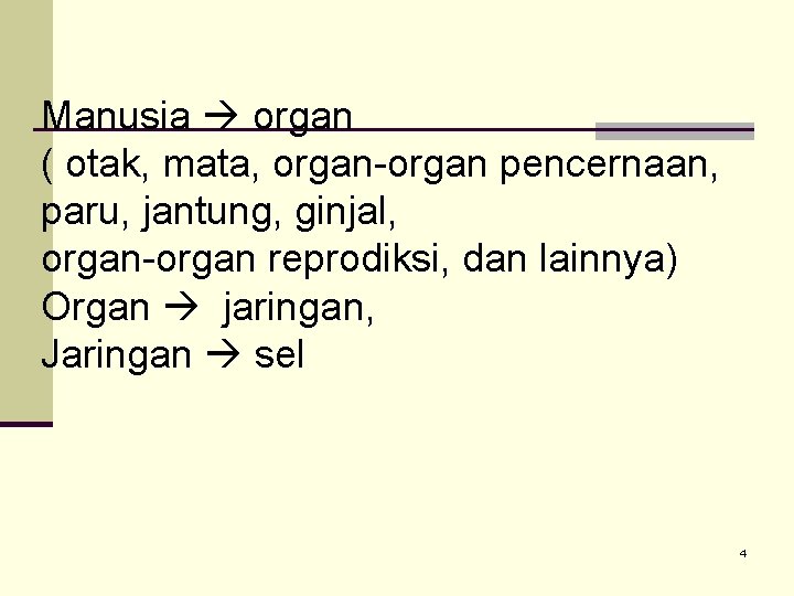Manusia organ ( otak, mata, organ-organ pencernaan, paru, jantung, ginjal, organ-organ reprodiksi, dan lainnya)
