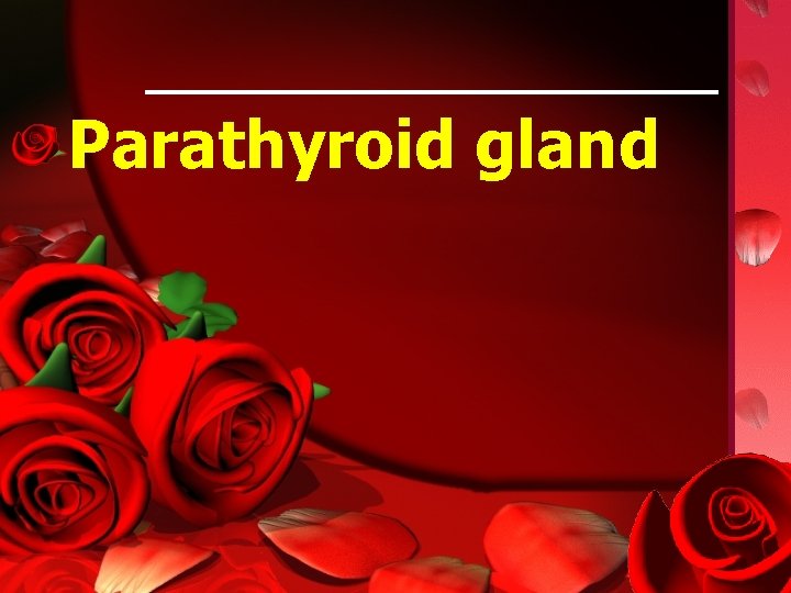 Parathyroid gland 