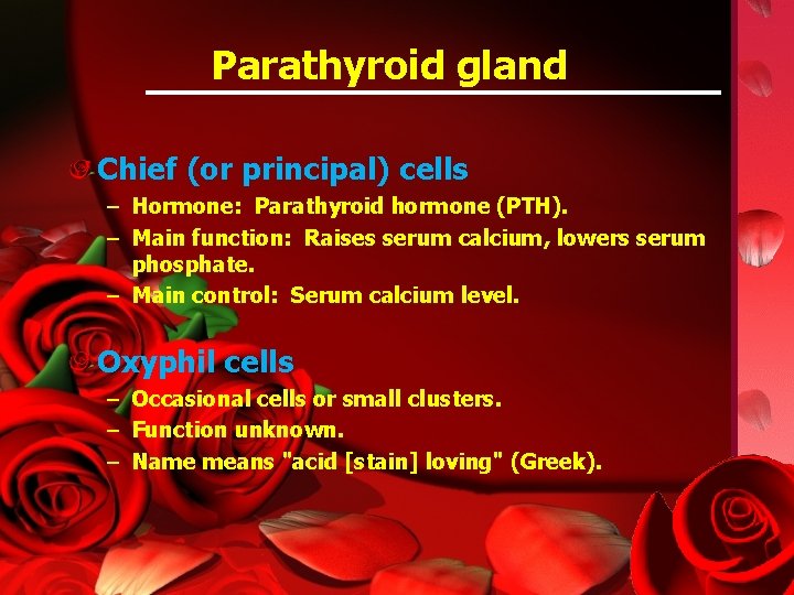 Parathyroid gland Chief (or principal) cells – Hormone: Parathyroid hormone (PTH). – Main function: