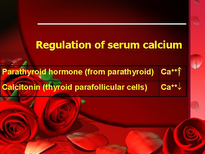 Regulation of serum calcium Parathyroid hormone (from parathyroid) Ca++ ↑ Calcitonin (thyroid parafollicular cells)