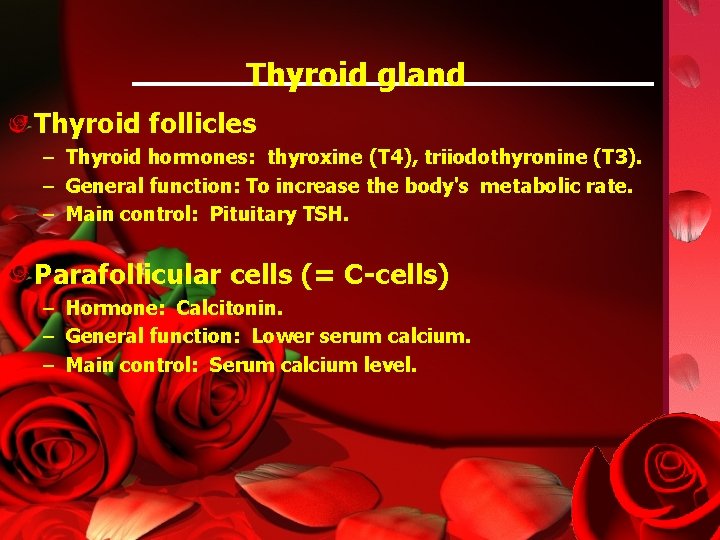 Thyroid gland Thyroid follicles – Thyroid hormones: thyroxine (T 4), triiodothyronine (T 3). –