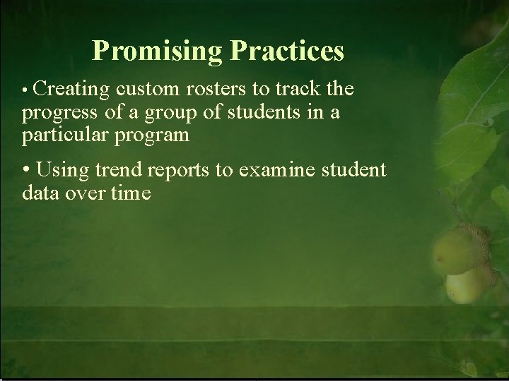 Promising Practices • Creating custom rosters to track the progress of a group of
