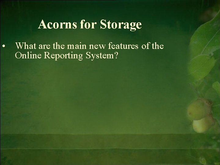 Acorns for Storage • What are the main new features of the Online Reporting