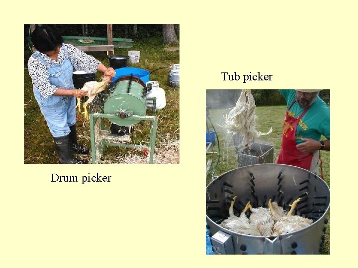 Tub picker Tubpicker Drum picker 