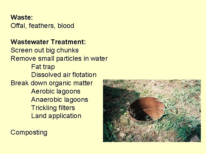 Waste: Offal, feathers, blood Wastewater Treatment: Screen out big chunks Remove small particles in