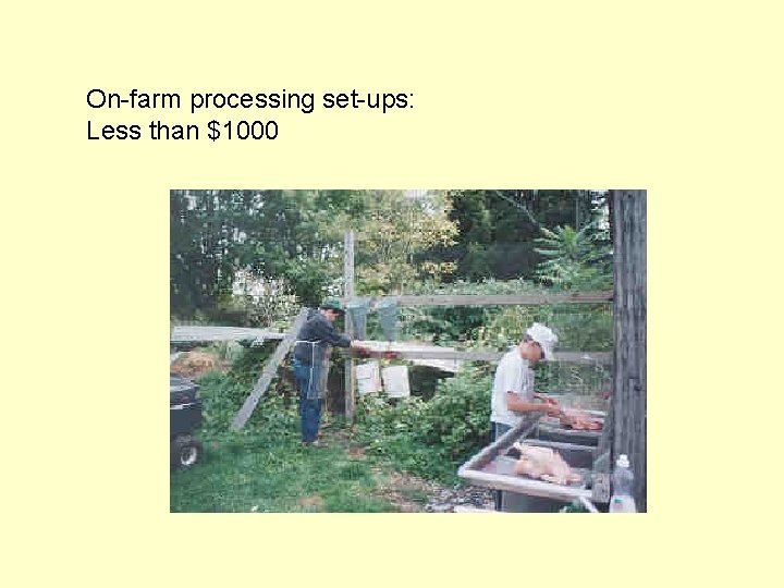 On-farm processing set-ups: Less than $1000 