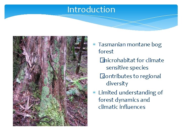 Introduction Tasmanian montane bog forest �microhabitat for climate sensitive species �contributes to regional diversity