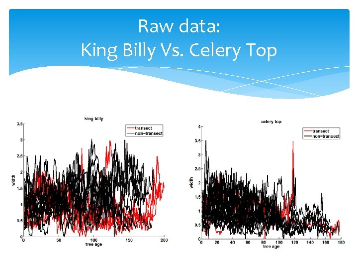 Raw data: King Billy Vs. Celery Top 