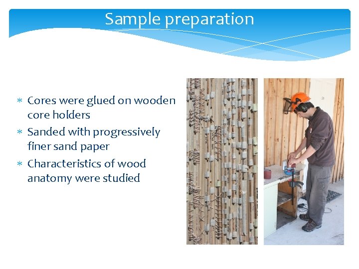 Sample preparation Cores were glued on wooden core holders Sanded with progressively finer sand