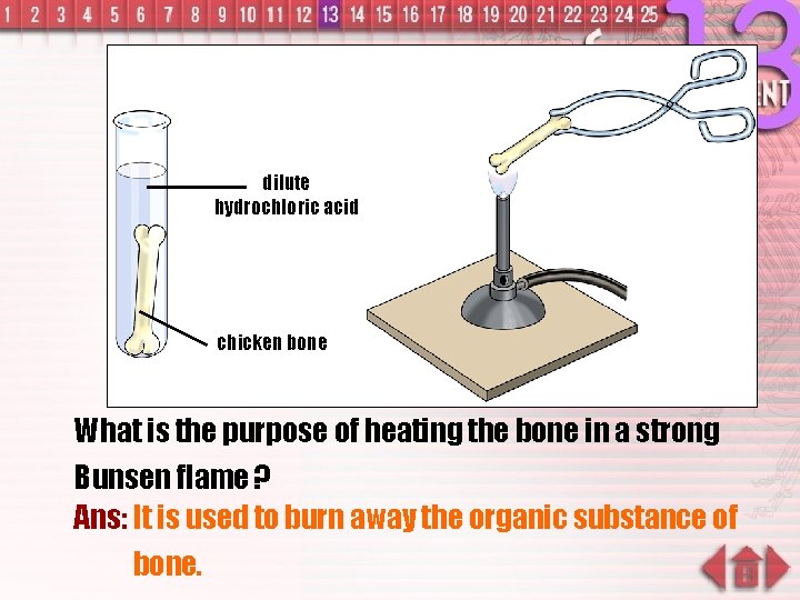 dilute hydrochloric acid chicken bone What is the purpose of heating the bone in