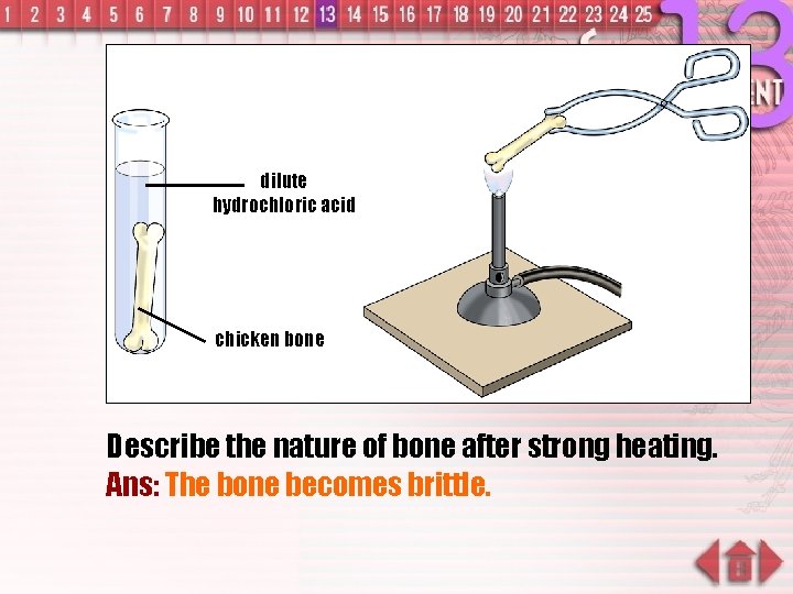 dilute hydrochloric acid chicken bone Describe the nature of bone after strong heating. Ans: